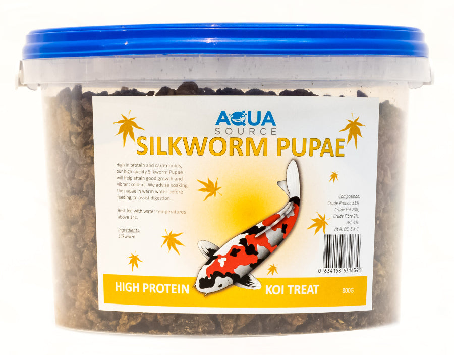 Silkworm Pupae 800g